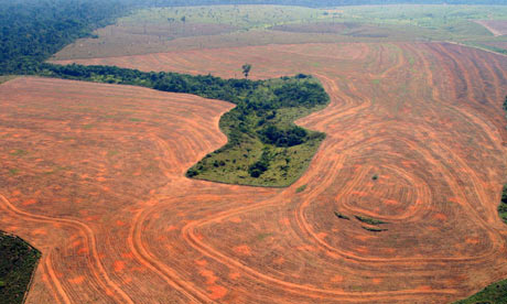 Deforestation in Novo "Progresso, Pará, in 2004 was the second worst on record" - Photo courtesy of The Guardian